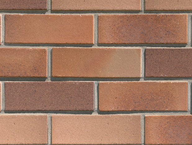 PGH Bricks Smooth Black and Tan 230x110x76mm (Packs of 460 Only)