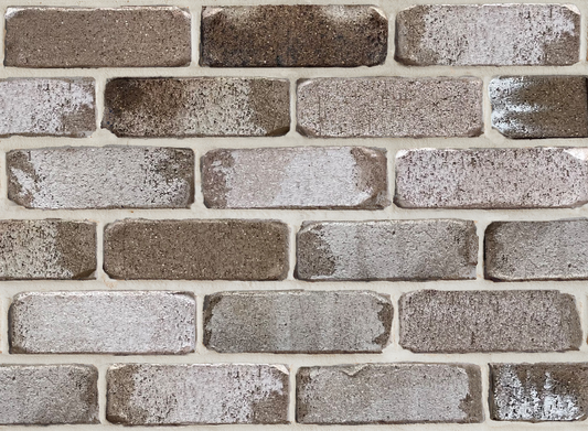 PGH Bricks Shoreline Sea Fossil 230x110x76mm (Packs of 460 Only)
