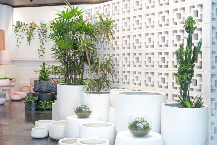 Bricks Blocks Pavers Online Australia's 1 Building Materials Store